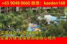 【Seaside Residences 海景轩】东海岸滨海楼盘 无遮挡海景