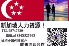 新加坡一手中介，不成功 不收取费用，全岛收费最低    微信  98747730