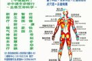 提供上门调理，科学科技去病痛/1分钟：$1/1部位