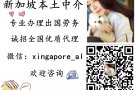 本土直聘操作工人等职位  详情微信xingapore_al