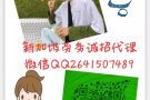 新加坡资质劳务公司，大龄男女保洁单子，费用低！！！！咨询微信2641507489