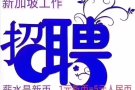 新加坡本地中介换工作找工作中介费最低1200一2000。Wp、SP不用离境