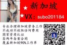 办理新加坡工作 找正规公司 汉生国际值得你的信赖 详情加微subo201184