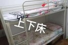 丹那美拉男女床位出租