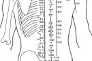 男推拿按摩治疗师。有证书，上门服务。具体看资料。谢谢欢迎预约