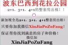 波东巴西到花拉公园2+1，3+1，4+1都有！微信XinJiaPoZuFang