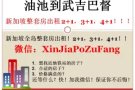 油池到武吉巴督整套房出租！加微信：XinJiaPoZuFang