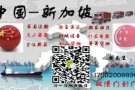 新加坡物流 空运海运双清到门 广州货运哪家专业